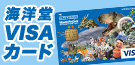 海洋堂VISAカード