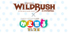 WILDRUSH（ワイルド・ラッシュ）x かぷせるフレンズ 第3弾