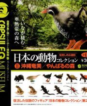 カプセルQミュージアム 日本の動物コレクション2 沖縄奄美/やんばるの森 全12種/1回300円