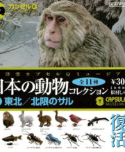 カプセルQミュージアム 日本の動物コレクション 1 東北/北限のサル 全11種/1回300円