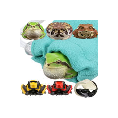 財布にカエル お財布蛙 カプセルフィギュア 海洋堂