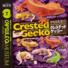 カプセルＱミュージアム『ヤモリ大全②-クレステッドゲッコー