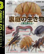 裏庭の生き物　-土壌生物大全-　全5種／1回300円