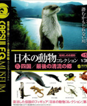 カプセルQミュージアム 日本の動物コレクション7 八重山諸島/ヤマネコ 