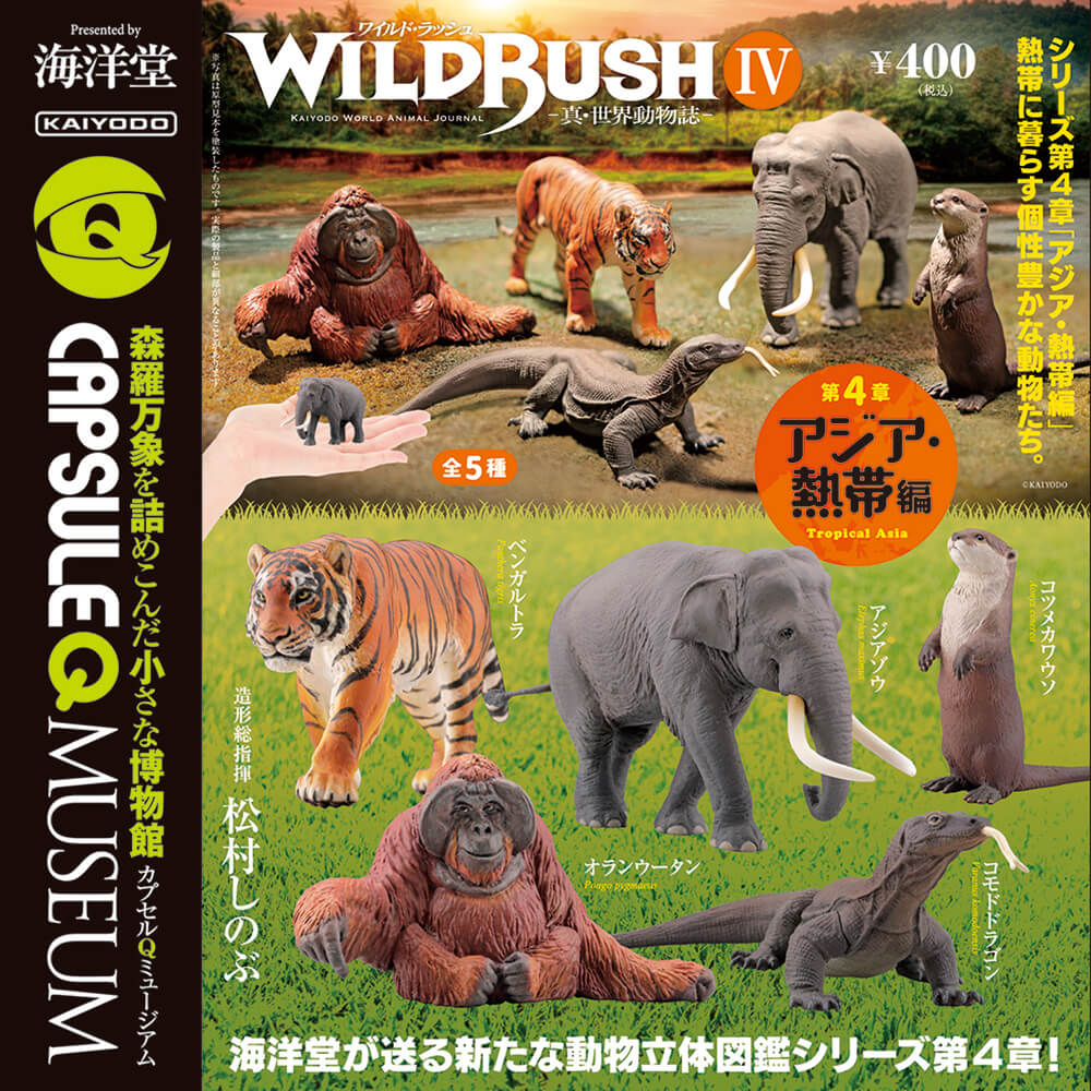 カプセルQミュージアム WILD RUSH 真・世界動物誌Ⅳ ～アジア・熱帯編～ 全5種/1回400円｜カプセルフィギュア｜海洋堂