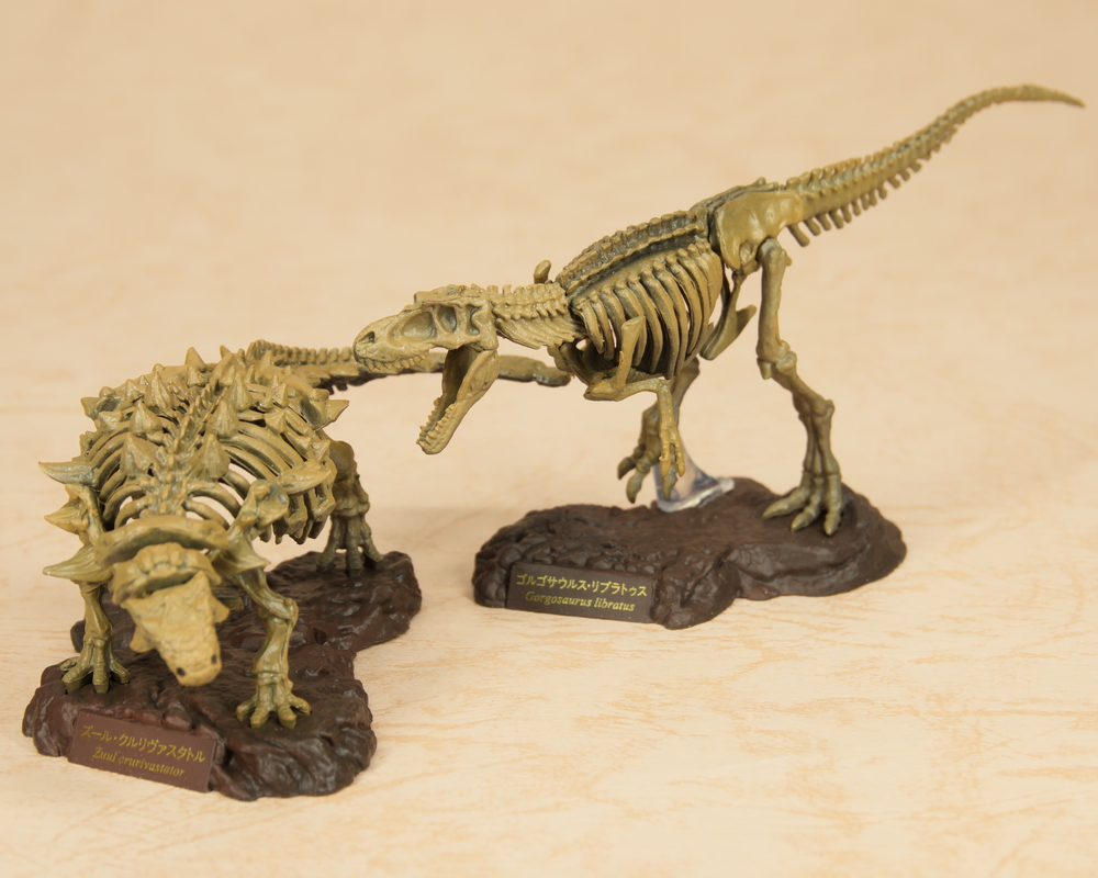 高品質 国立科学博物館 恐竜博2023 ゴルゴサウルス 骨格 ガチャ 海洋堂