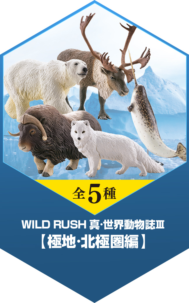 全5種 WILD RUSH 真・世界動物誌Ⅲ【極地・北極圏編】