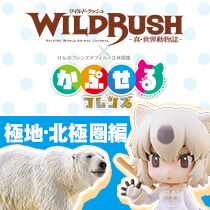 WILDRUSH（ワイルド・ラッシュ）x かぷせるフレンズ 第3弾