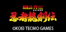 リボルテック アメイジング・ヤマグチ リュウ・ハヤブサ『NINJA GAIDEN』Ver.