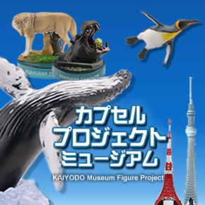 カプセルミュージアム